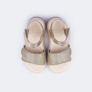 739.016.000-DOURADO_3.jpg