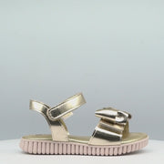 123.338.000-DOURADO_6.mp4